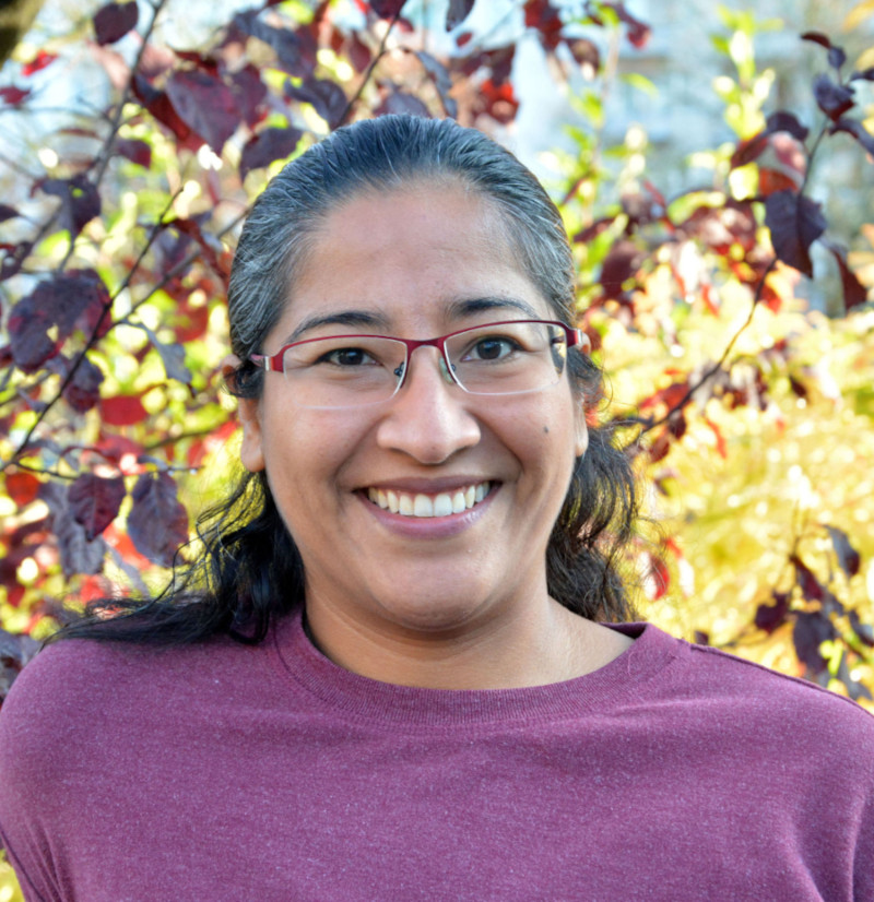 Karinne Ramirez-Amaro